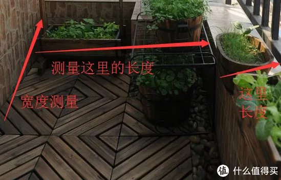 #原创新人#简简单单的阳台种菜，赶紧给自己开辟一个有机蔬菜园吧！