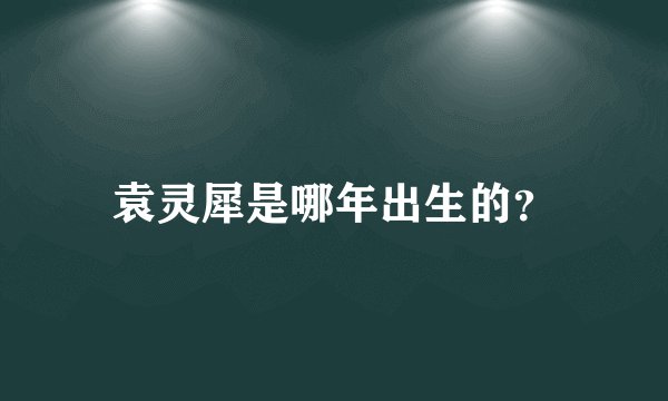 袁灵犀是哪年出生的？