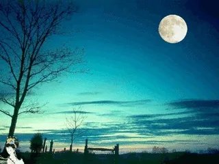 上联:日近西山倦鸟归，西来庵怎么对？