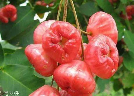 水葡萄怎么吃 水葡萄适合什么人吃