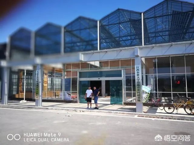 什么是设施农业？