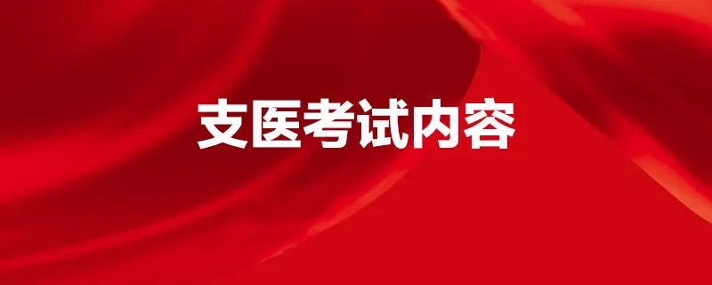 支医考试内容