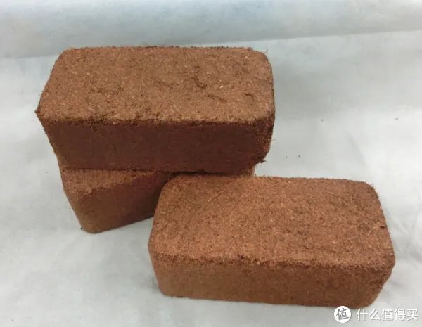 #原创新人#简简单单的阳台种菜，赶紧给自己开辟一个有机蔬菜园吧！