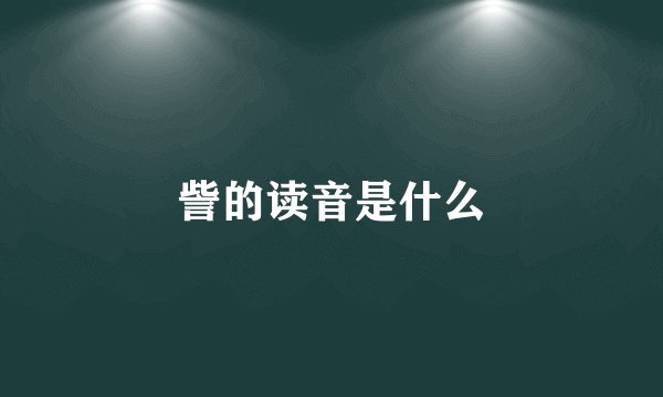 訾的读音是什么