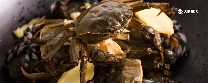 清蒸大闸蟹一般蒸几分钟