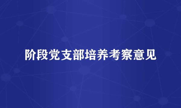 阶段党支部培养考察意见