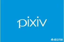 a站、b站、p站都是什么站？