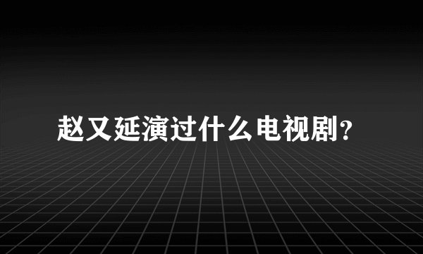 赵又延演过什么电视剧？