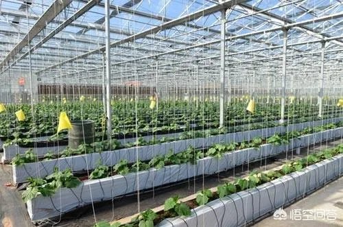 什么是设施农业？