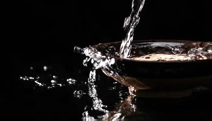 酿酒酵母和汉逊酵母区别 酿酒酵母和汉逊酵母区别是