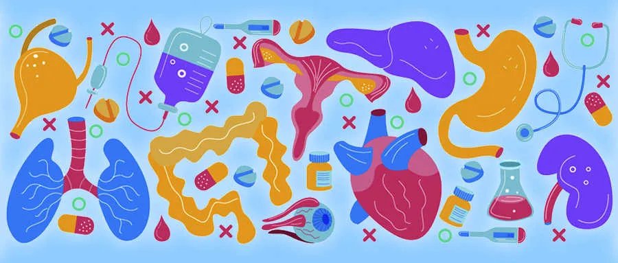 石斛泡水喝的功效是什么