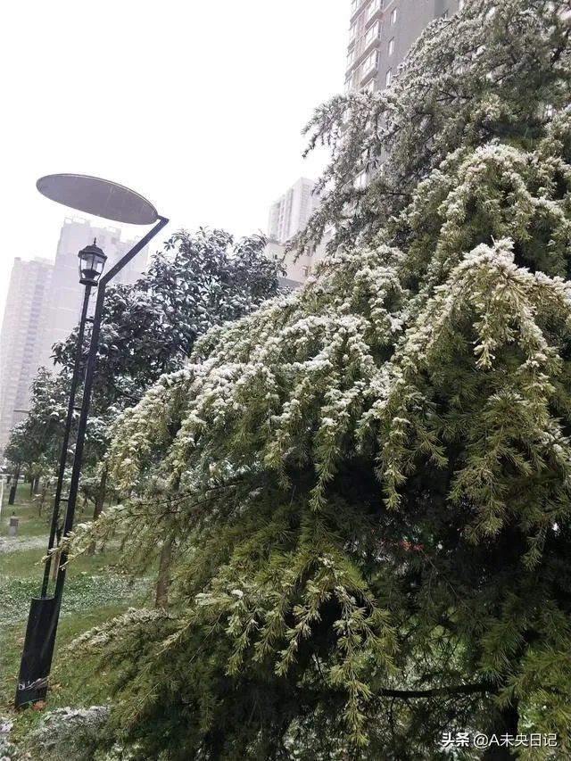 今年西安下雪为什么会这么早？会不会预示今年将会有极端天气出现？