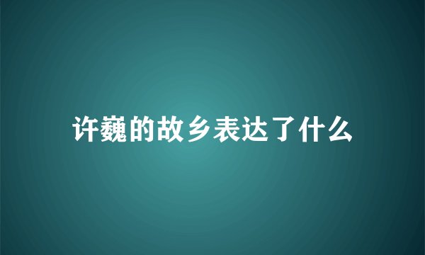 许巍的故乡表达了什么