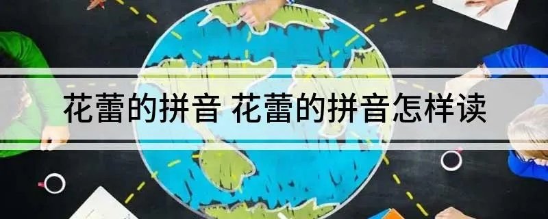 花蕾的拼音 花蕾的拼音怎样读