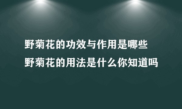 野菊花的功效与作用是哪些 野菊花的用法是什么你知道吗
