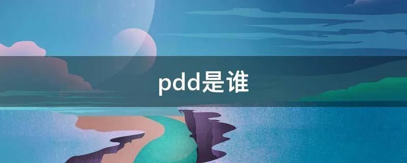 pdd是谁