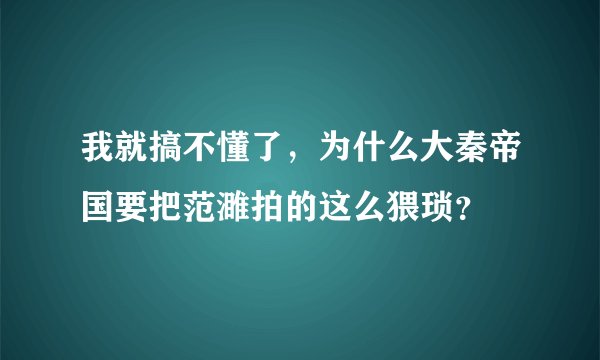 我就搞不懂了，为什么大秦帝国要把范濉拍的这么猥琐？