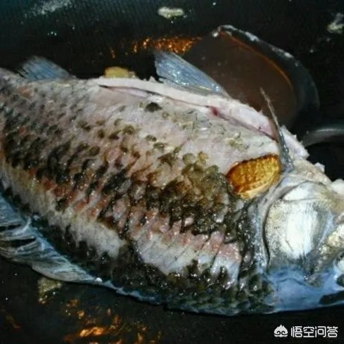 鲤鱼怎么做好吃？