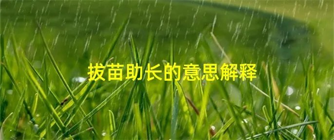 拔苗助长的意思解释