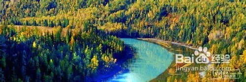 喀纳斯旅游攻略