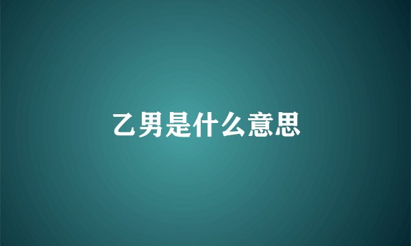 乙男是什么意思