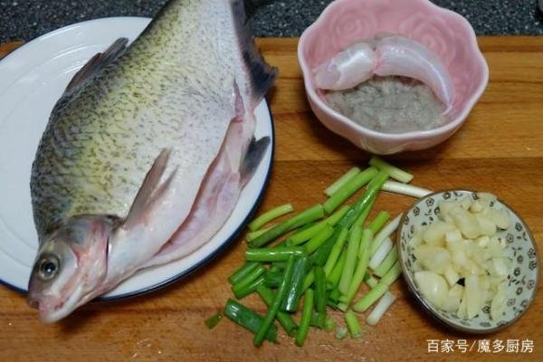 电鱼机怎么做？