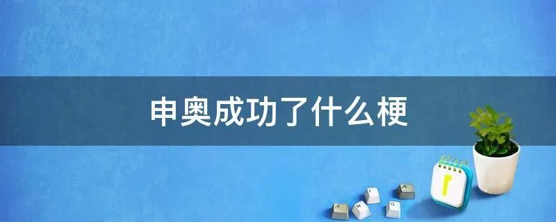 申奥成功了什么梗