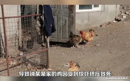 男子用手电筒吓死1100多只鸡 法院判决获刑半年