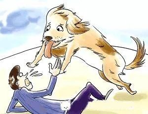 如果把狗狗自己放到陌生环境中