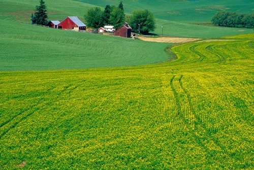 流转土地是什么意思