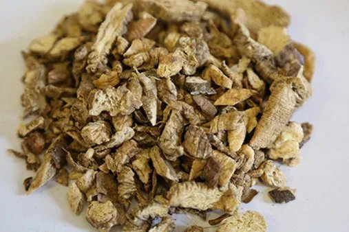 蝉花的功效与作用