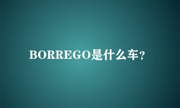 BORREGO是什么车？