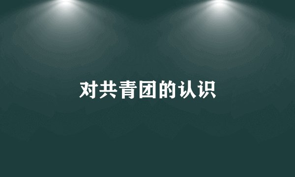 对共青团的认识