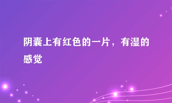 阴囊上有红色的一片，有湿的感觉
