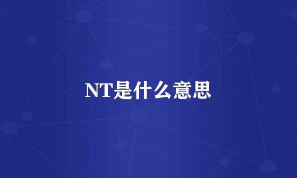 NT是什么意思
