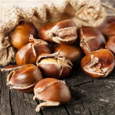 风热感冒吃什么药最好