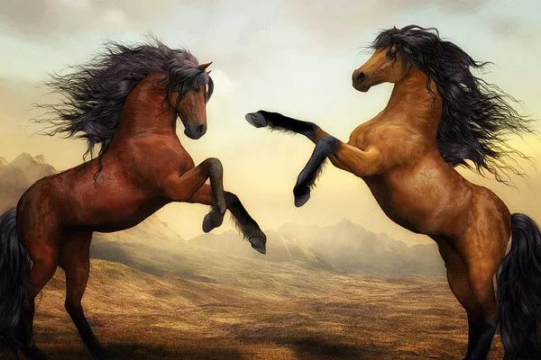 1990属马几月命苦 1990年属马的犯几月