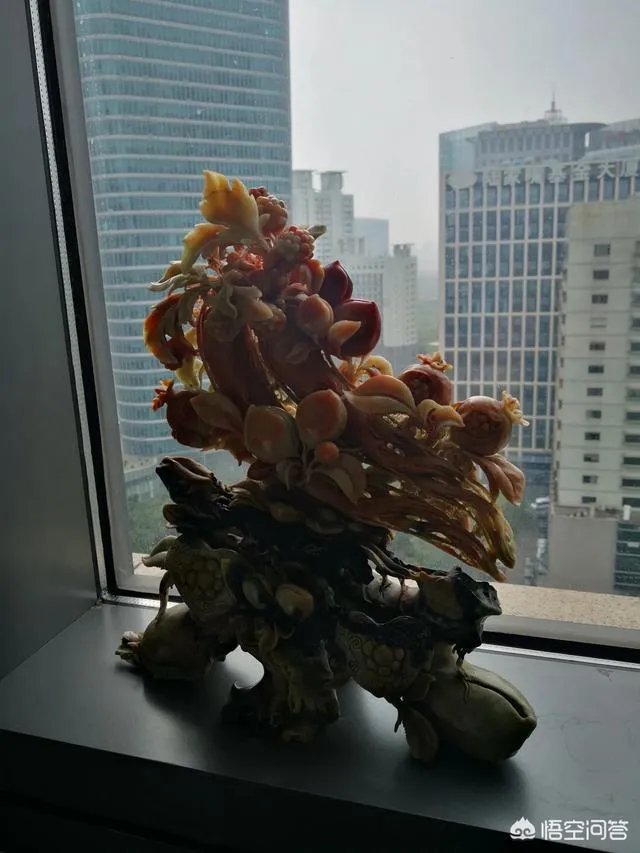 上海纽约大学，怎样？