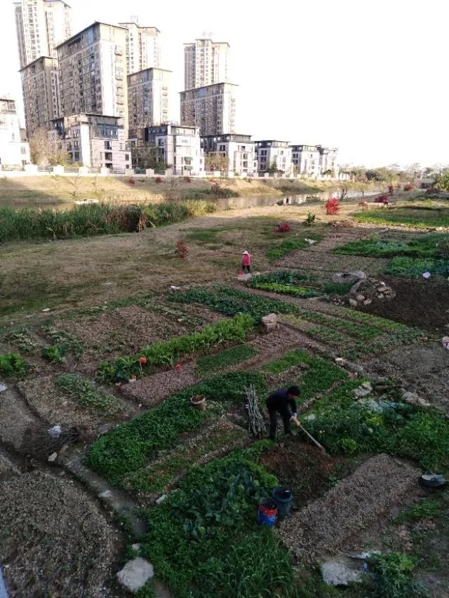 什么叫工程队？