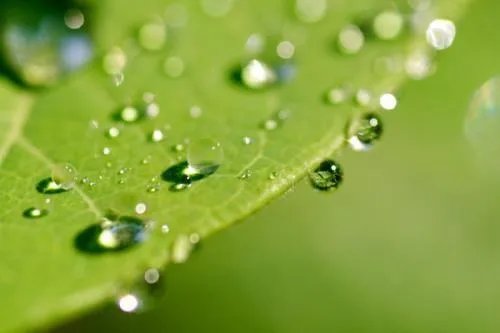 晰的组词 晰组词 晰字组词 晰怎么组词