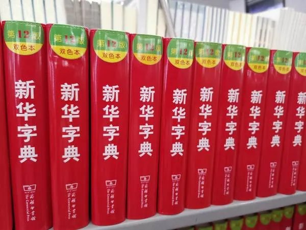 垫的拼音和组词