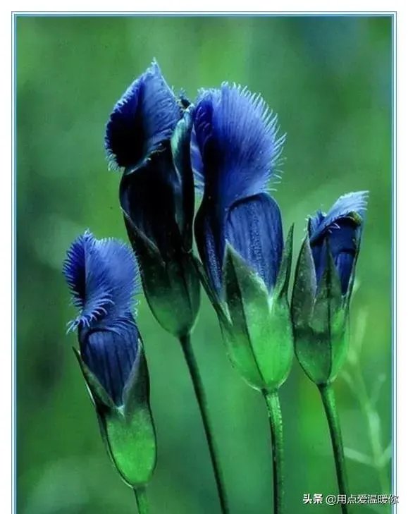 3月13日2021年上半年教师资格证考试开考，你考得怎么样？今年难度如何？