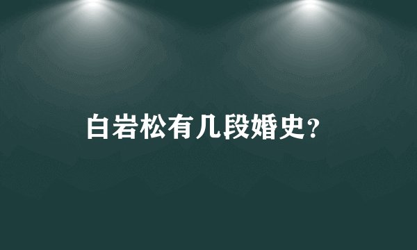 白岩松有几段婚史？