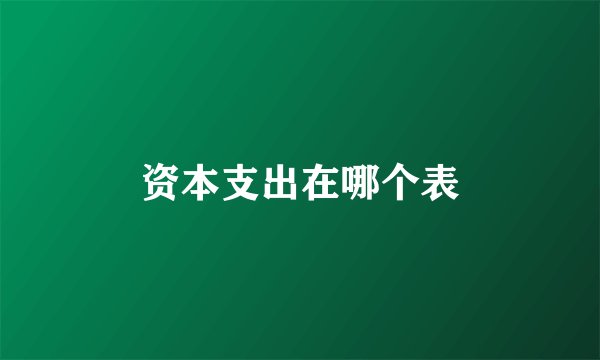 资本支出在哪个表