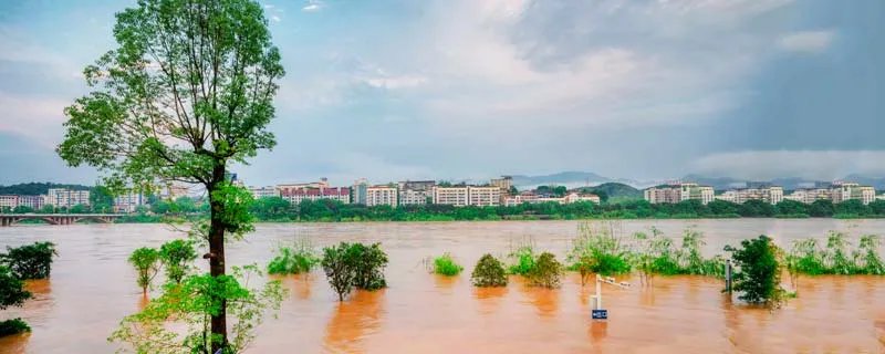 河南洪涝致33人遇难8人失踪,经济损失逾12亿