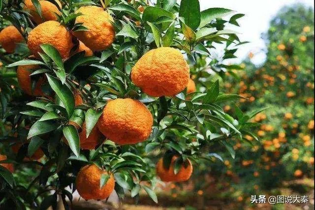 旬阳市有前途吗