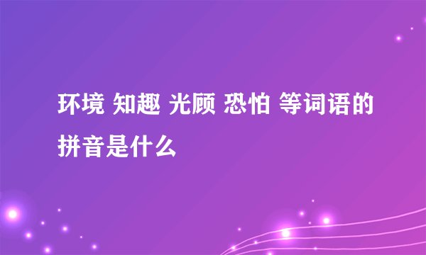 环境 知趣 光顾 恐怕 等词语的拼音是什么
