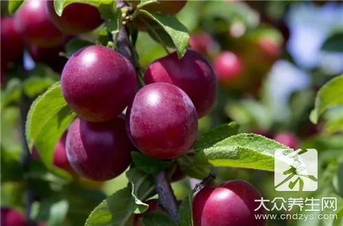 乌梅多少钱一斤