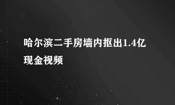 哈尔滨二手房墙内抠出1.4亿现金视频