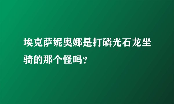 埃克萨妮奥娜是打磷光石龙坐骑的那个怪吗？